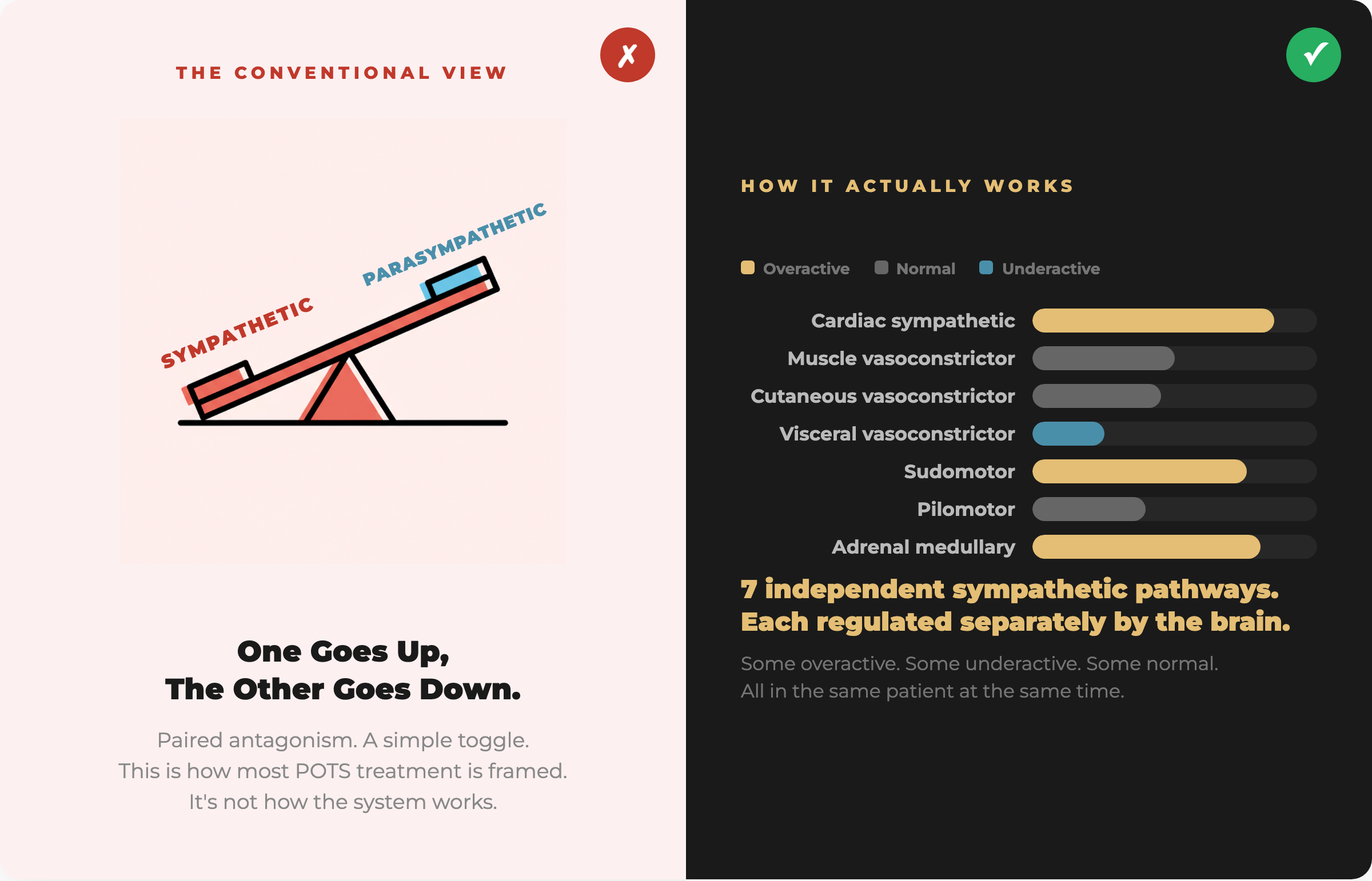 The autonomic system is not a toggle switch — 7 independent sympathetic pathways, each regulated separately